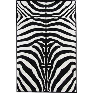 TEMPO KONDELA Arwen koberec 100x140 cm vzor zebra